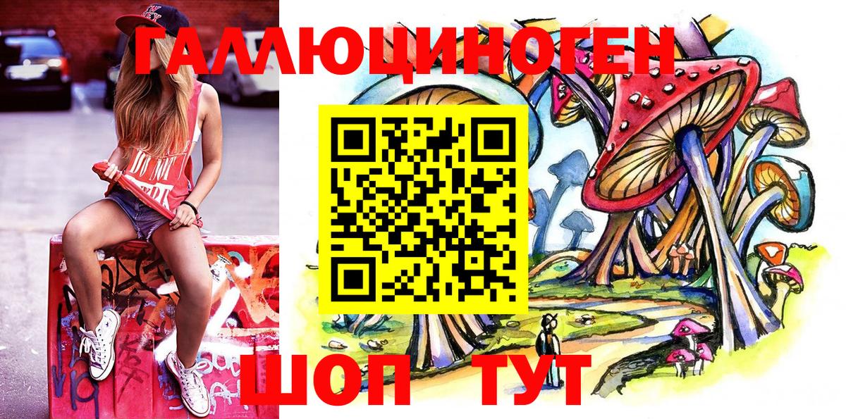 Псилоцибиновые грибы Cubensis Красногорск